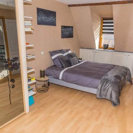 ריביווילה Charmant Appartement Alsacien מראה חיצוני תמונה