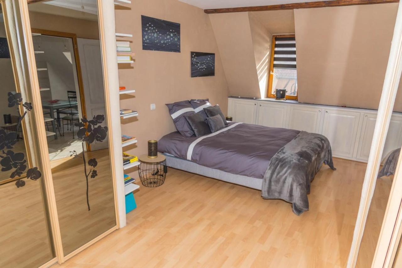 ריביווילה Charmant Appartement Alsacien מראה חיצוני תמונה