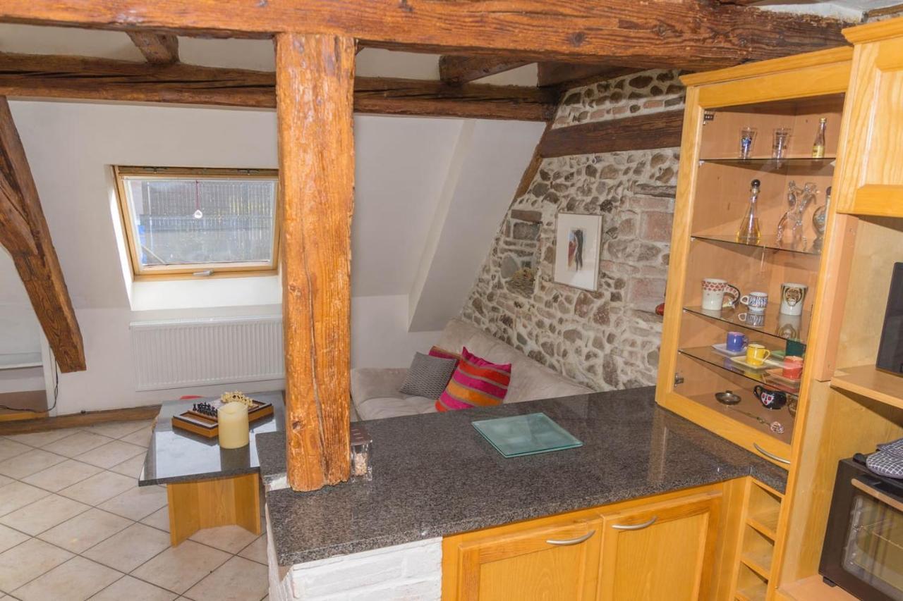 ריביווילה Charmant Appartement Alsacien מראה חיצוני תמונה