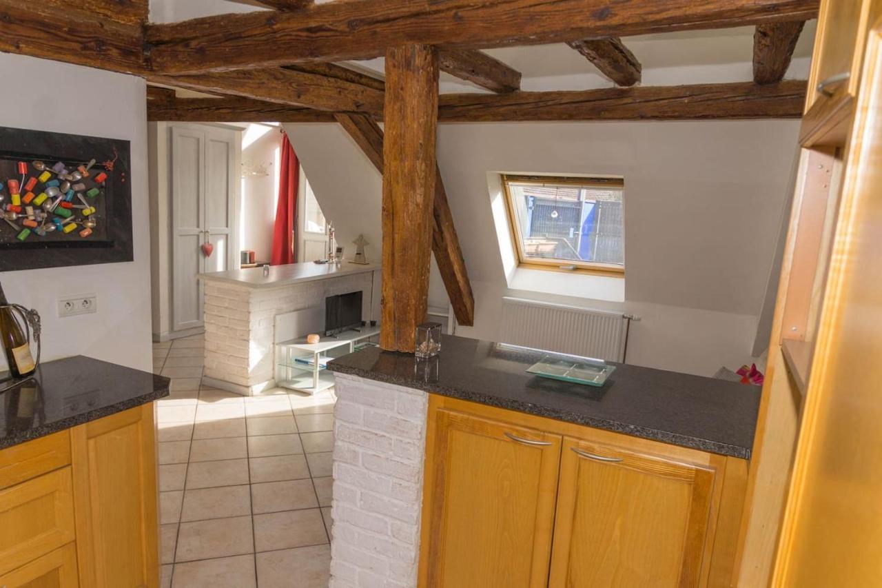 ריביווילה Charmant Appartement Alsacien מראה חיצוני תמונה