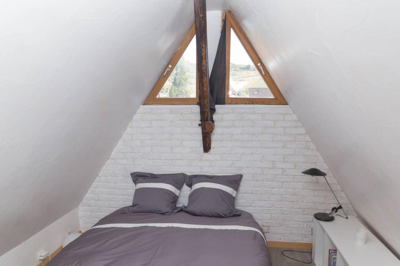 ריביווילה Charmant Appartement Alsacien מראה חיצוני תמונה